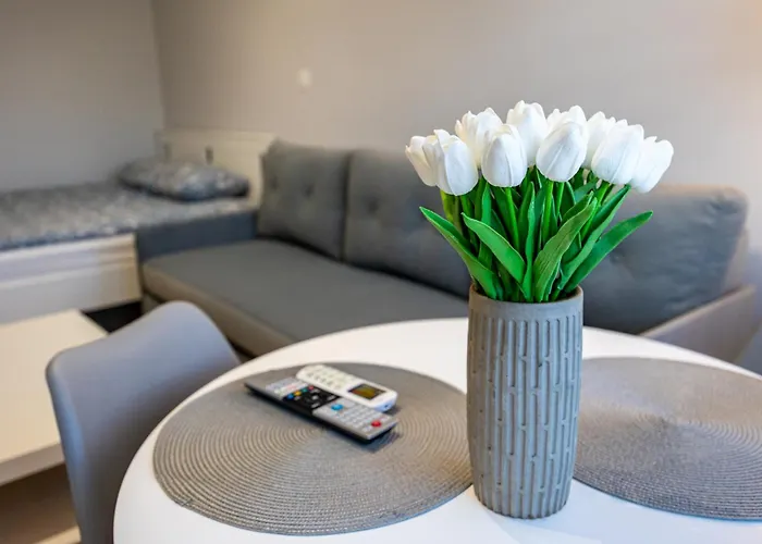 Apartment - Kobalt Brama Portowa Ii